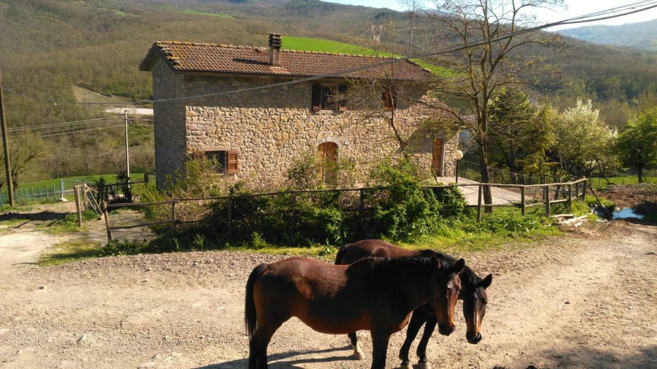 La Cartiera Dei Benandanti Vila Monghidoro Exterior foto
